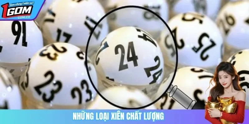 Những loại xiên chất lượng