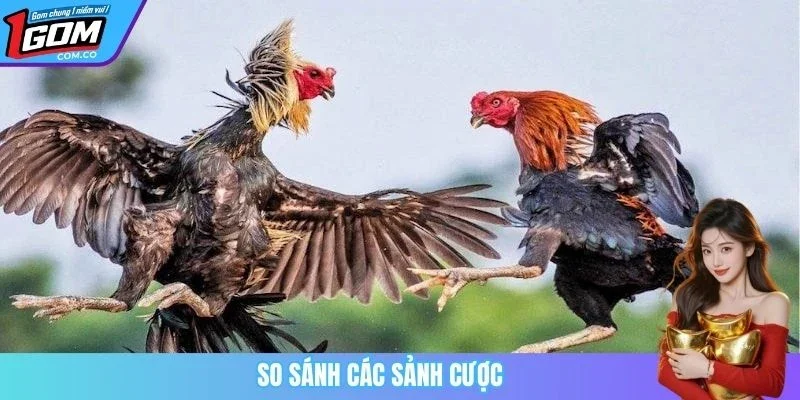 So sánh các sảnh cược